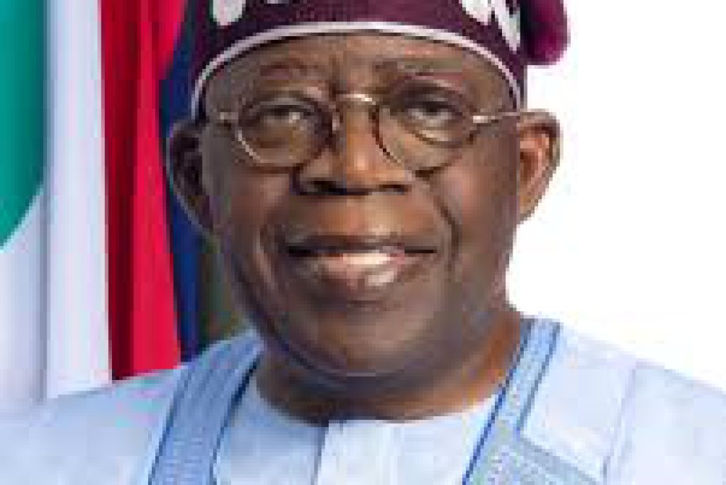 Tinubu directs the CBN to halt the execution of the cybersecurity levy.